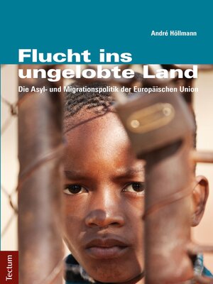 cover image of Flucht ins ungelobte Land